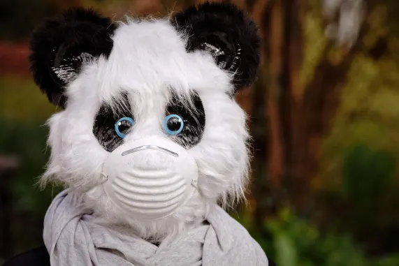 Kasino Eight Storm Podpora